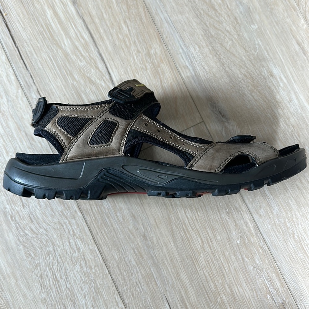 Ecco hiking sandals